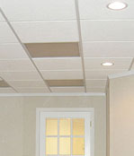 Basement ceiling tiles - Framingham and Plymouth